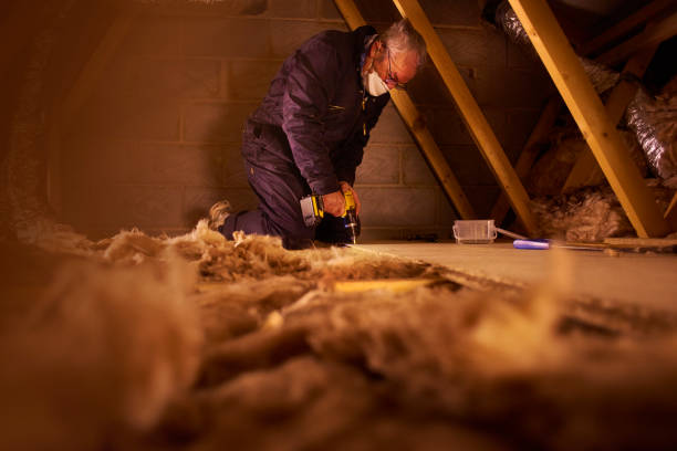 Best Insulation Maintenance and Repair in Moreland Hills, OH